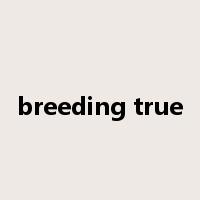 breeding true是什么意思