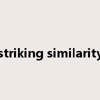 striking similarity是什么意思