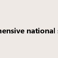 comprehensive national strength是什么意思