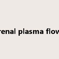 renal plasma flow是什么意思