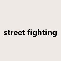 street fighting是什么意思
