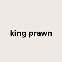 king prawn是什么意思