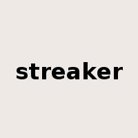 streaker是什么意思