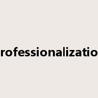 professionalization是什么意思