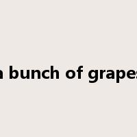 a bunch of grapes是什么意思