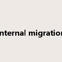 internal migration是什么意思