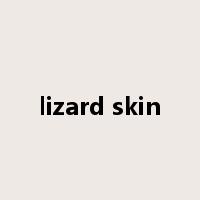 lizard skin是什么意思