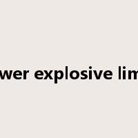 lower explosive limit是什么意思