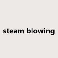steam blowing是什么意思