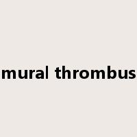 mural thrombus是什么意思