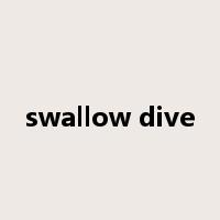 swallow dive是什么意思