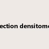 reflection densitometer是什么意思