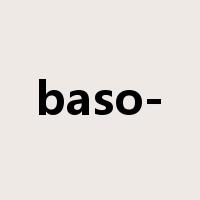 baso-是什么意思