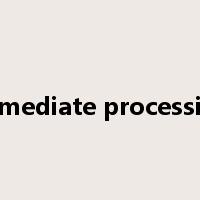 immediate processing是什么意思