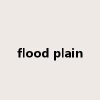 flood plain是什么意思