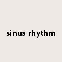 sinus rhythm是什么意思