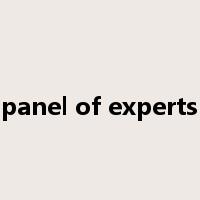 panel of experts是什么意思