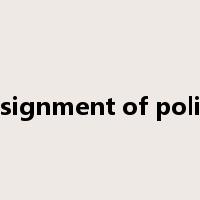 assignment of policy是什么意思