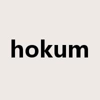 hokum是什么意思