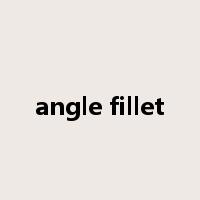 angle fillet是什么意思