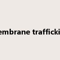 membrane trafficking是什么意思
