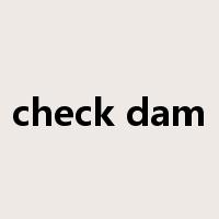 check dam是什么意思