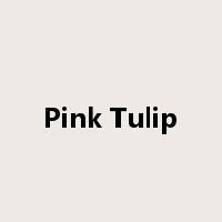 Pink Tulip是什么意思