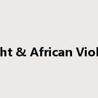 Light & African Violets是什么意思