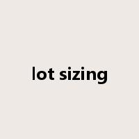 lot sizing是什么意思