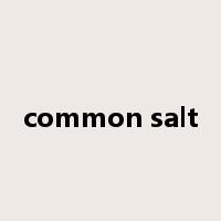 common salt是什么意思