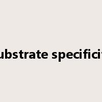 Substrate specificity是什么意思