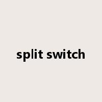 split switch是什么意思