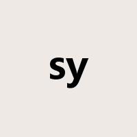 sy是什么意思