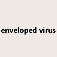 enveloped virus是什么意思