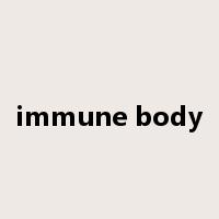 immune body是什么意思