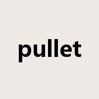 pullet是什么意思