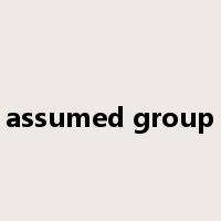assumed group是什么意思