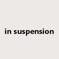 in suspension是什么意思