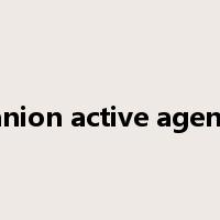 anion active agent是什么意思