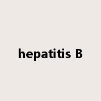 hepatitis B是什么意思
