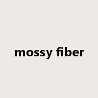 mossy fiber是什么意思