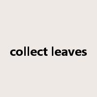 collect leaves是什么意思