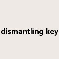 dismantling key是什么意思