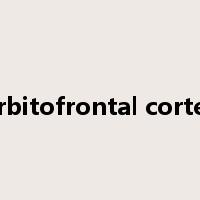 orbitofrontal cortex是什么意思