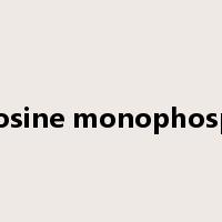adenosine monophosphate是什么意思