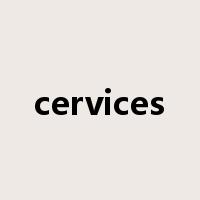 cervices是什么意思