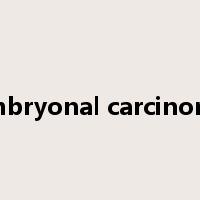 embryonal carcinoma是什么意思
