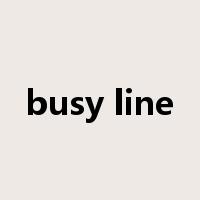 busy line是什么意思