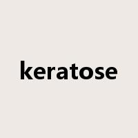 keratose是什么意思