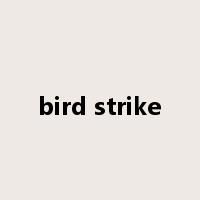 bird strike是什么意思